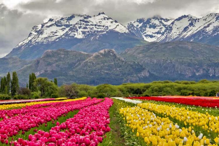 Estos son los tres pueblos argentinos que competirán para ser distinguidos como el mejor del mundo