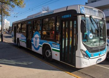 Se presentó la App para saber los horarios de los colectivos