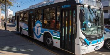 Se presentó la App para saber los horarios de los colectivos