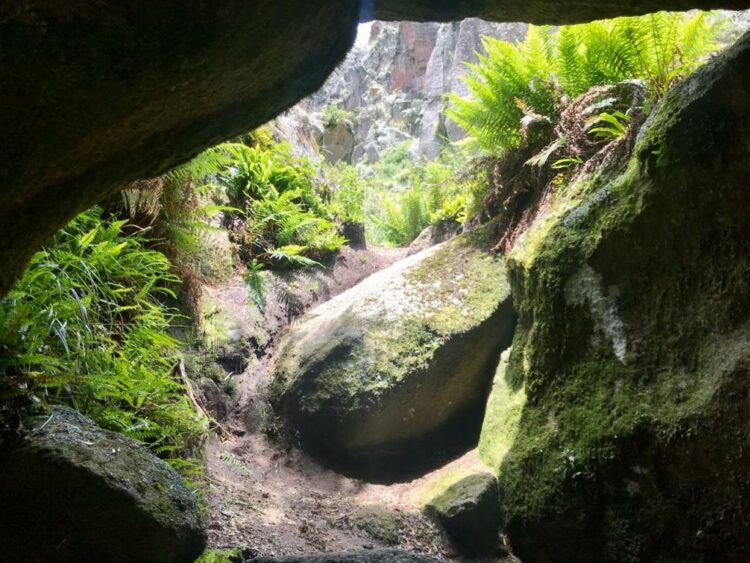 Así es la Cueva de Salamanca, un atractivo único en el medio de Los Gigantes