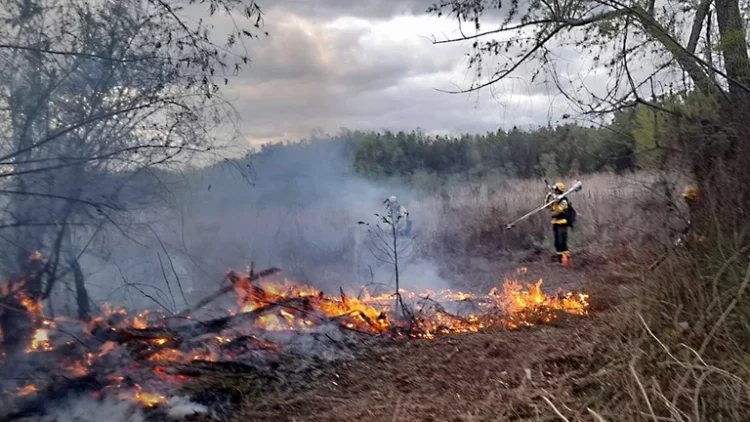 Más de 15.000 hectáreas se quemaron este fin de semana por los incendios en el Paraná