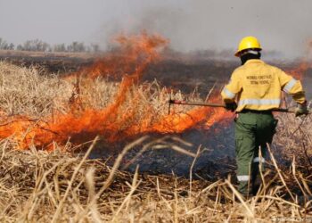 Continúan activos nueve focos de incendios en Santa Fe, Entre Ríos y Buenos Aires