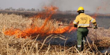 Continúan activos nueve focos de incendios en Santa Fe, Entre Ríos y Buenos Aires