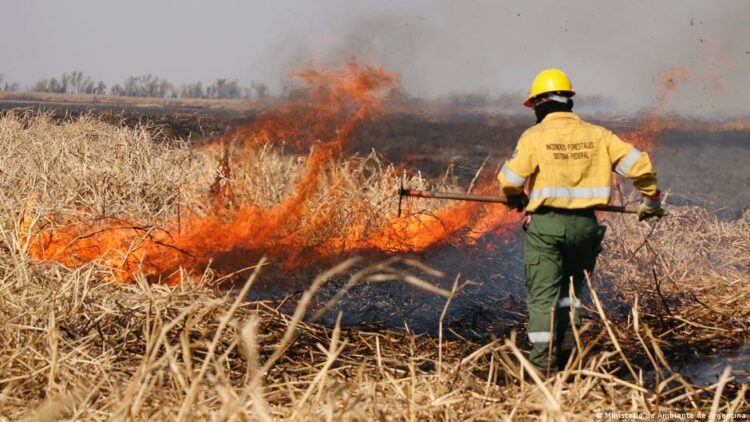 Continúan activos nueve focos de incendios en Santa Fe, Entre Ríos y Buenos Aires