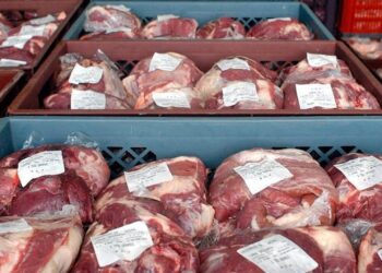 Las exportaciones de carne vacuna cerraron el primer semestre con récord en volumen y valor
