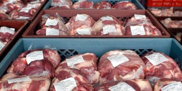 Las exportaciones de carne vacuna cerraron el primer semestre con récord en volumen y valor