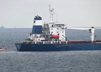 Arribó a Turquía un barco con 33.000 toneladas de maíz exportados desde Ucrania