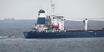 Arribó a Turquía un barco con 33.000 toneladas de maíz exportados desde Ucrania