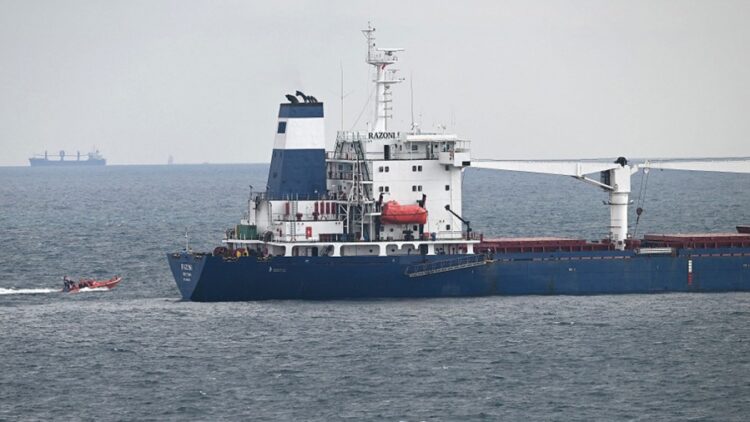 Arribó a Turquía un barco con 33.000 toneladas de maíz exportados desde Ucrania