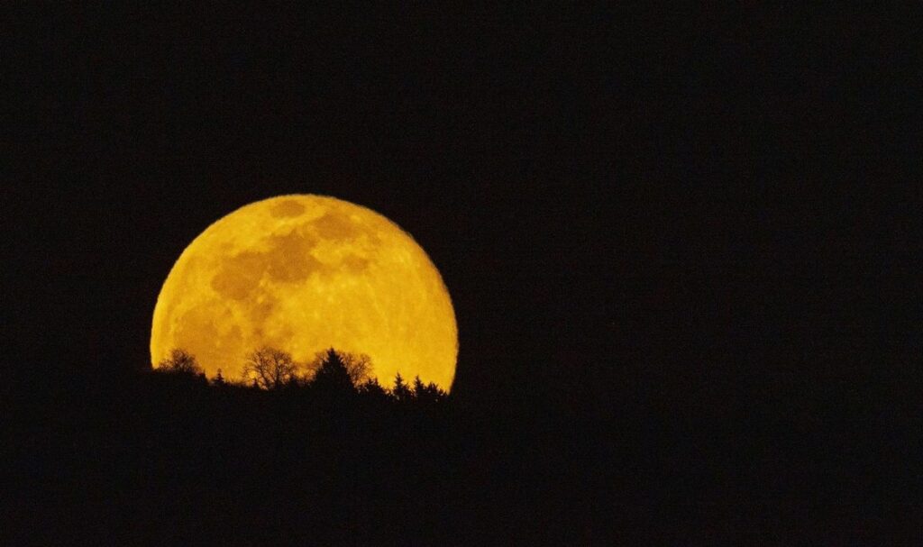 Cómo y cuándo se podrá ver la última Superluna del año