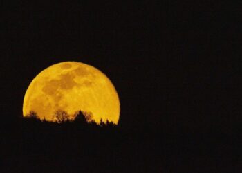 Cómo y cuándo se podrá ver la última Superluna del año