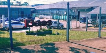 La falta de acceso a dólares para insumos frena la producción de las empresas