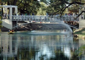 Universos culturales en la ciudad