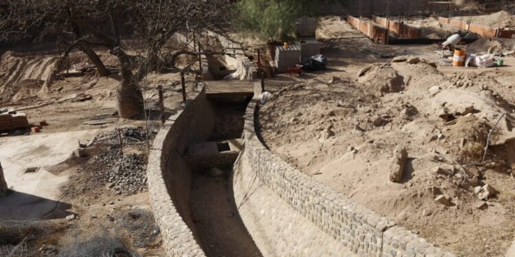 El Parque de la Biodiversidad contará con un ambiente para osos aprobado por estándares internacionales