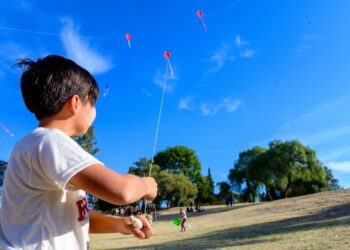 Celebran la octava edición del Festival de Barriletes en la reserva de San Martin