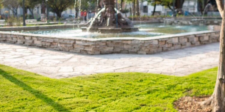 Tras varios meses de refacción, la Plaza Colón vuelve a estar habilitada al público