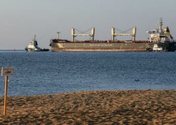 Nuevos buques cargados de cereal zarparon de Ucrania