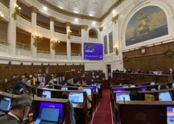 Nueva Constitución en Chile: noticias falsas e incidentes