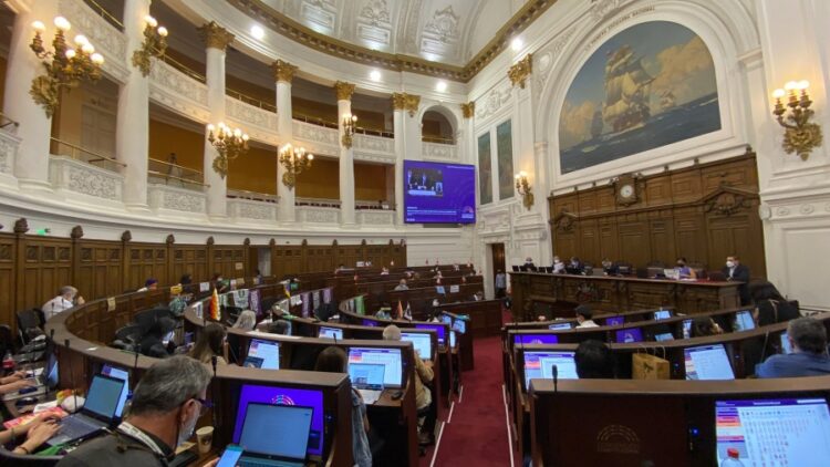 Nueva Constitución en Chile: noticias falsas e incidentes