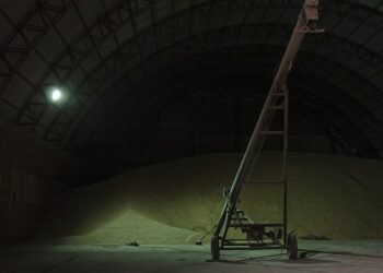 Reanudan la causa “Soja negra” con otro juicio por presunto lavado de dinero