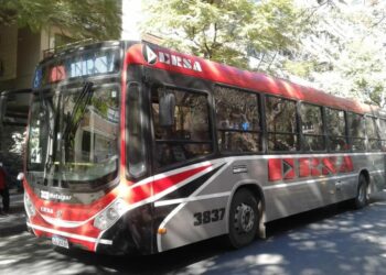 Un chofer de colectivos fue agredido al defender a una pasajera