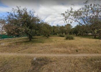 Aprobaron la instalación de una estación de servicio sobre bosque nativo y despertó polémica