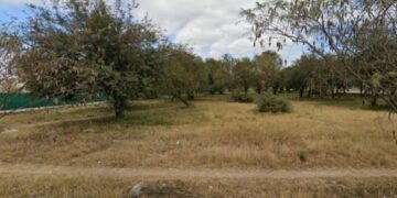 Aprobaron la instalación de una estación de servicio sobre bosque nativo y despertó polémica