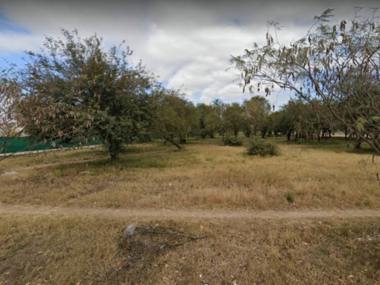 Aprobaron la instalación de una estación de servicio sobre bosque nativo y despertó polémica