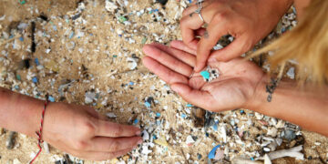 Una creciente amenaza a la salud: la “invasión” de los microplásticos