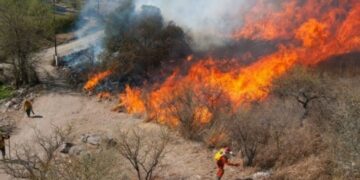 Aprehendido por provocar un incendio