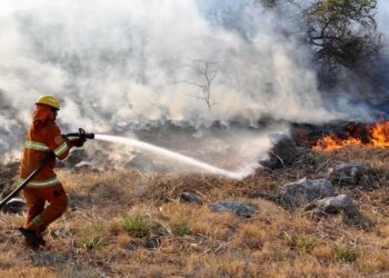 Bomberos logran contener tres focos de incendio forestales en la Provincia
