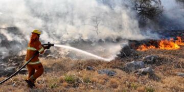 Bomberos logran contener tres focos de incendio forestales en la Provincia