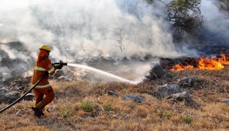 Bomberos logran contener tres focos de incendio forestales en la Provincia