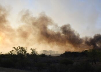 Hay focos en Entre Ríos, Buenos Aires, San Luis y Catamarca