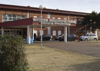 Neonatal: Detuvieron a una enfermera bajo la imputación de homicidio