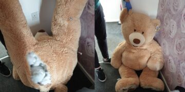 Robó un auto y se escondió adentro de un oso de peluche para escapar de la Policía