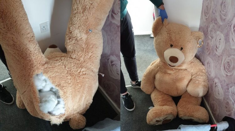 Robó un auto y se escondió adentro de un oso de peluche para escapar de la Policía