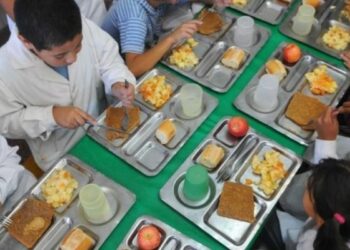 Buscan saber si desde el Paicor entregan alimentación saludable