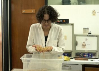 Dos investigaciones nacionales desarrollan materiales que podrían reemplazar al plástico