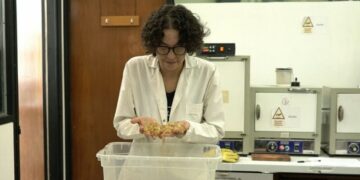 Dos investigaciones nacionales desarrollan materiales que podrían reemplazar al plástico