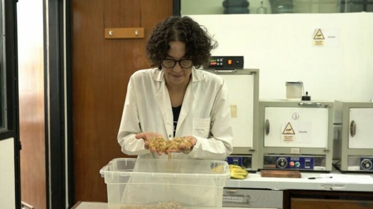 Dos investigaciones nacionales desarrollan materiales que podrían reemplazar al plástico