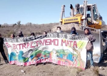 Liberaron a los cuatro ambientalistas detenidos por demorar la construcción de la autovía