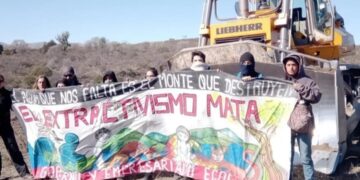 Liberaron a los cuatro ambientalistas detenidos por demorar la construcción de la autovía