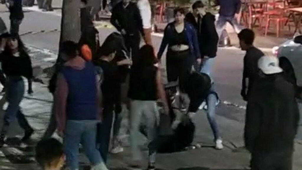 Detuvieron a tres jóvenes mayores de edad que participaron en "robos piraña" en el parque Sarmiento