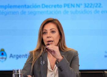 Royón afirmó que «las pymes no van a sufrir aumentos de gas”
