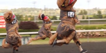 Esta es la divertida carrera de dinosaurios en la que se compite por ser el T-Rex más rápido