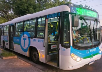 Por hoy, el transporte urbano es gratuito en la ciudad