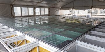 Ya repusieron el 80 % de los vidrios en el techo de Plaza España