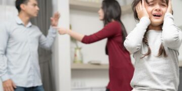 Durante la feria de invierno, la Justicia recibió un promedio de 24 denuncias diarias por violencia doméstica