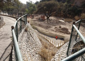 Avanza la construcción de un espacio para osos en el ex Zoo